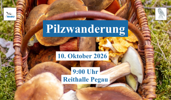 Pilzwanderung in den