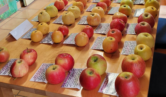 Foto: Sylva Thienemann