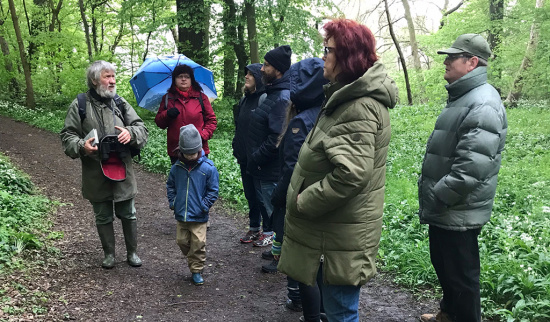 Ingo Thienemann (links) führte die Teilnehmenden durch das Groitzscher Pfarrholz. Foto: Susanne Hiegemann