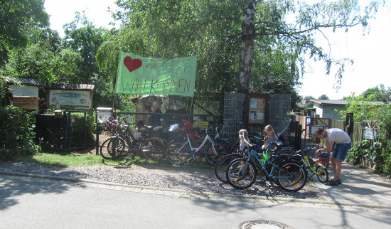 Foto: Ingo Thienemann