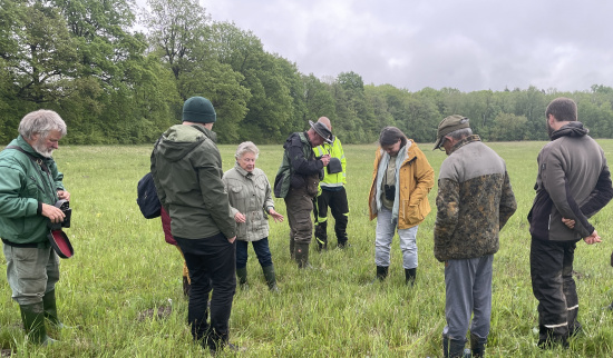 Exkursion auf die Orchideenwiese am Oberholz am 07. Mai 2026 Foto: Annett Bellmann